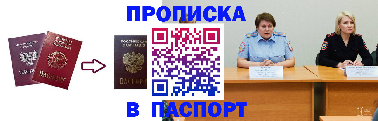 временная регистрация для всех в Елизово